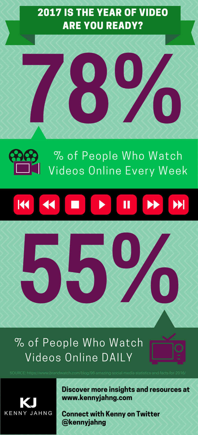 Video Usage Statistics 2017