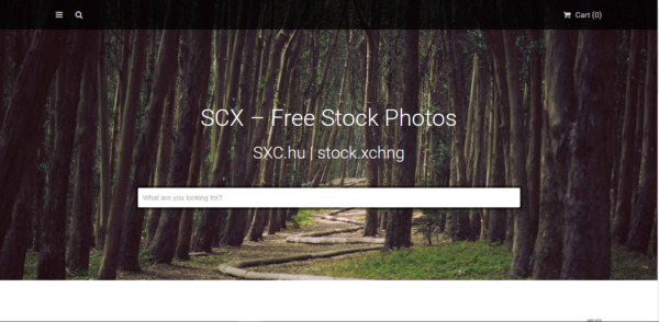 stock.xchng